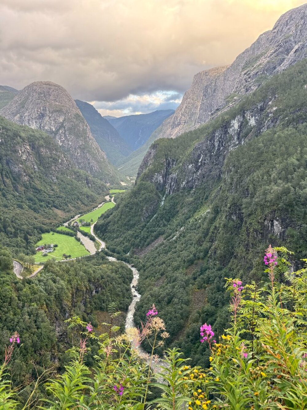 Meet your Posher, Bobbi